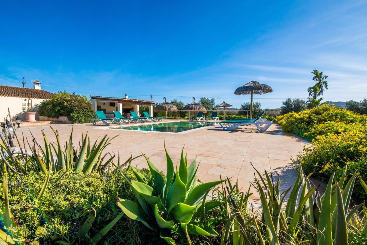Finca Cas Padrins Manacor  Exterior foto